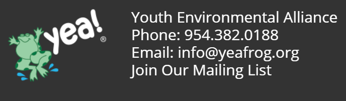 YEA logo